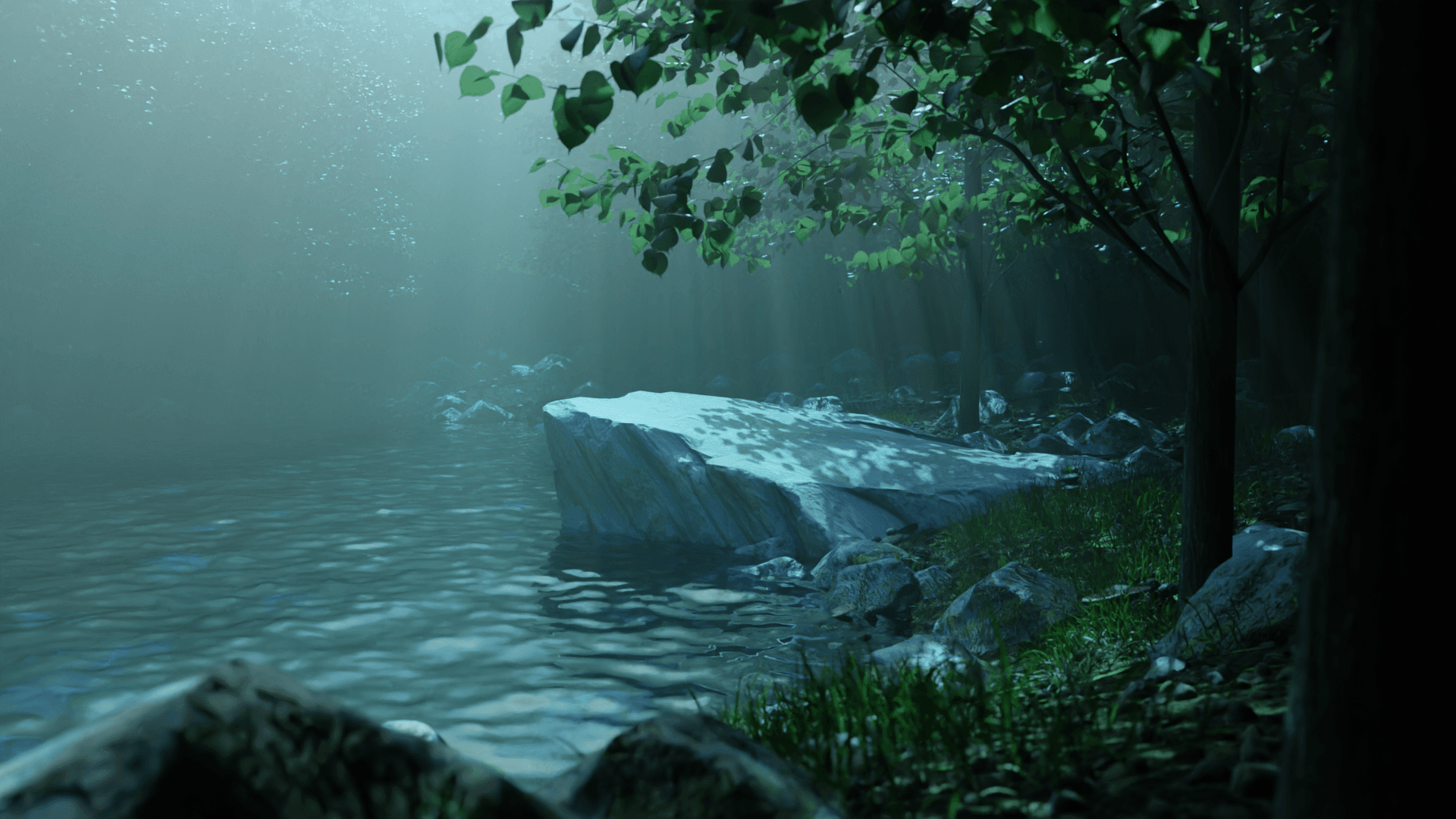 Wallpaper of Pool in the Woods